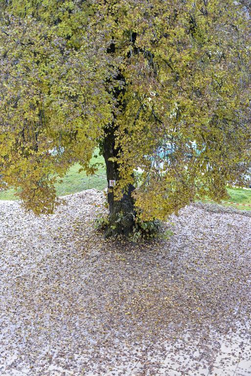 L'Escale En Ubaye Bed & Breakfast Saint-Pons  Екстериор снимка