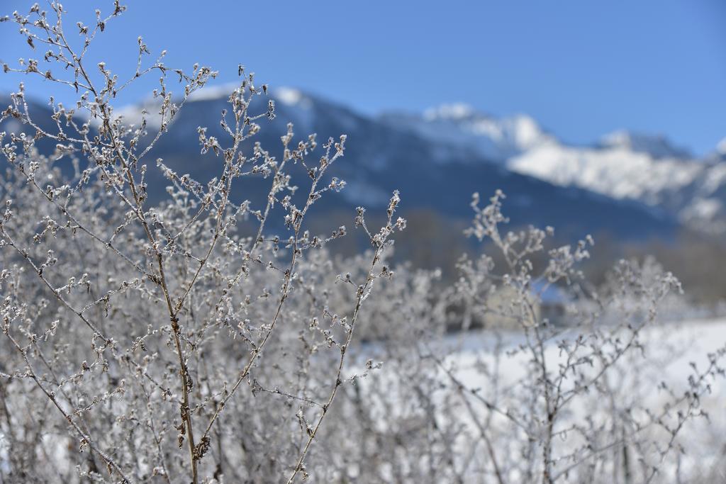 L'Escale En Ubaye Bed & Breakfast Saint-Pons  Стая снимка