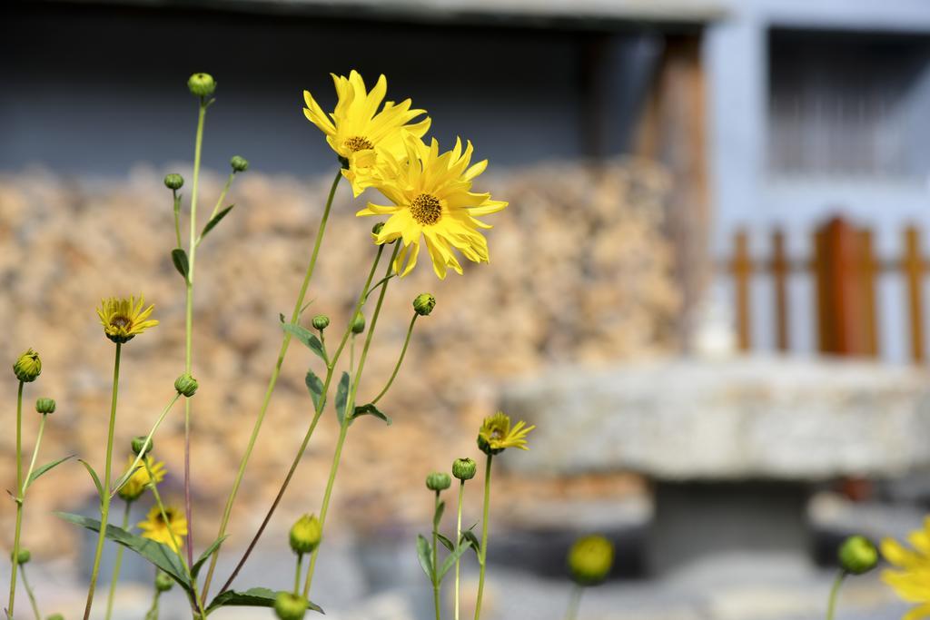 L'Escale En Ubaye Bed & Breakfast Saint-Pons  Екстериор снимка